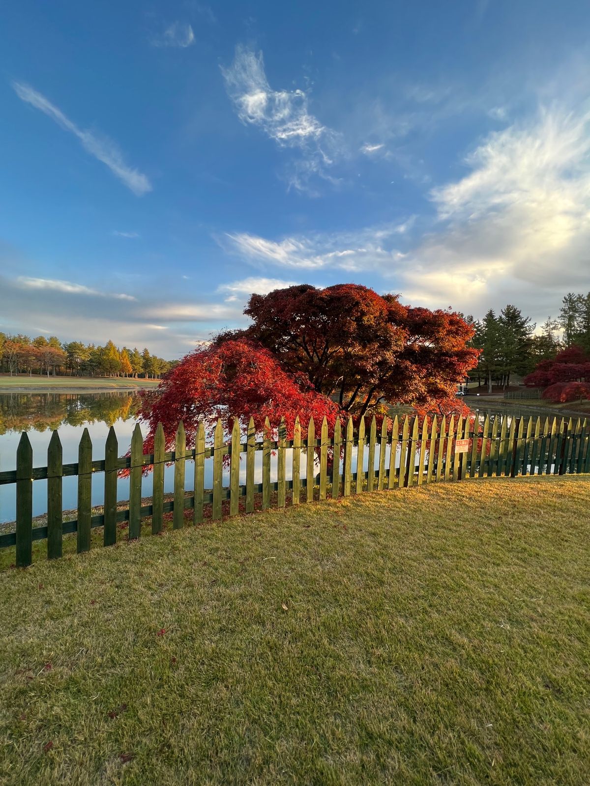 静ヒルズカントリークラブの朝

紅葉が綺麗🍁