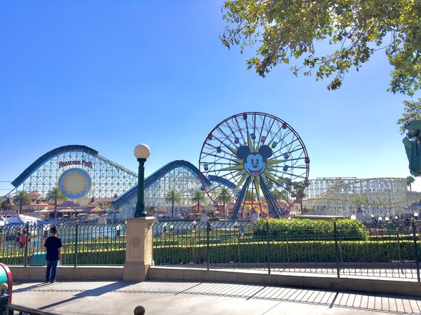 アメリカ(米国)・アナハイム「LAX✈︎」の写真