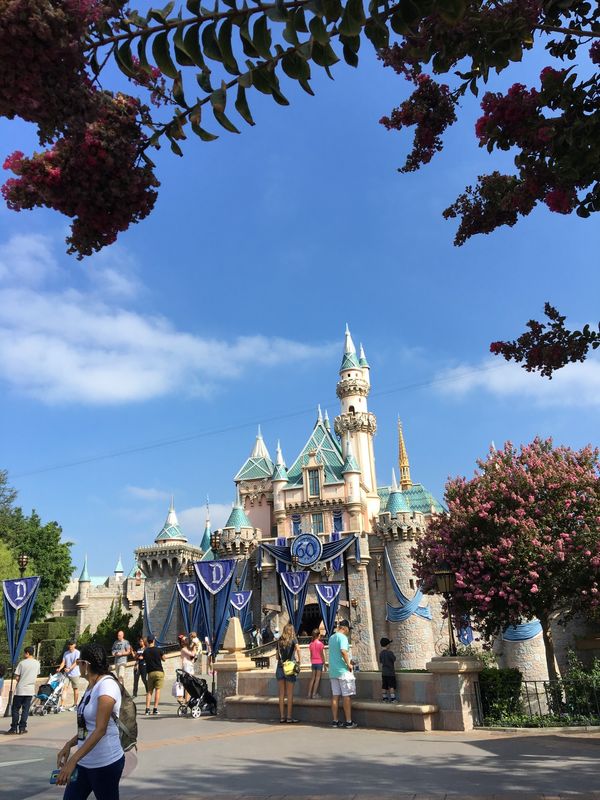 アメリカ(米国)・アナハイム「LAX✈︎」の写真