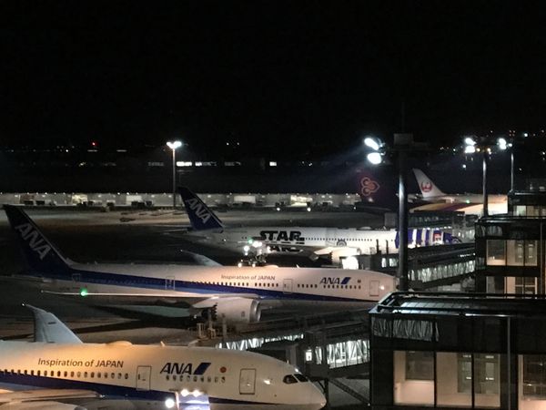 アメリカ(米国)・アナハイム「LAX✈︎」の写真