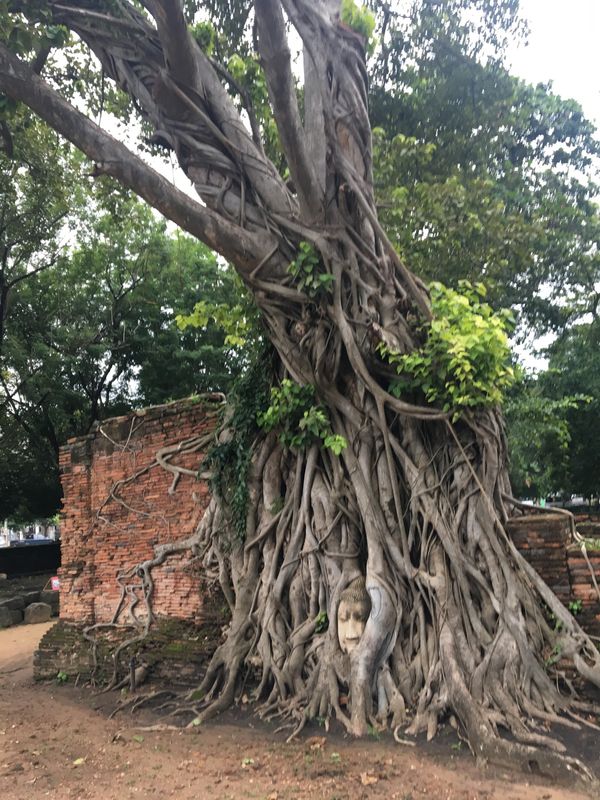 タイ・バンコク「BKK✈︎」の写真