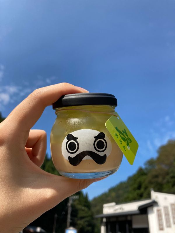 日本・福井県「福井旅✈︎」の写真