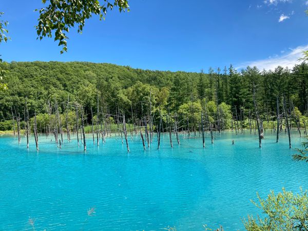日本・北海道「北海道旅✈︎ 2021」の写真