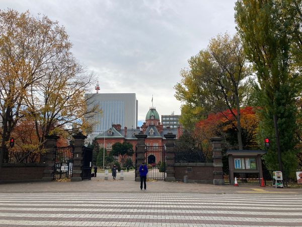 日本・札幌「北海道 2020 vol2」の写真