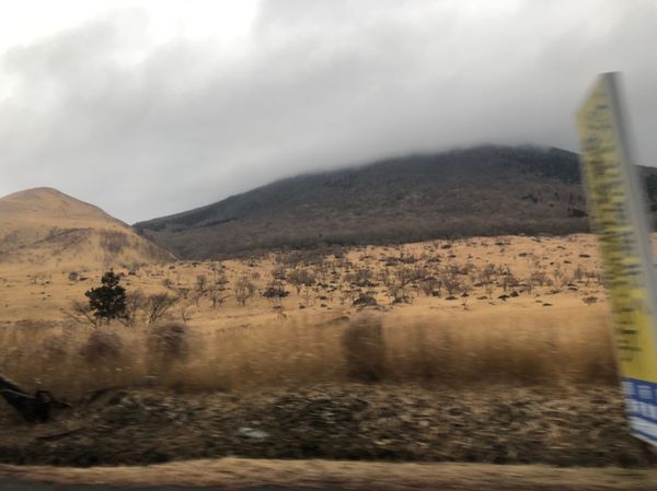 日本・別府「大分旅🚗」の写真
