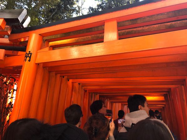 日本・京都府「京都 vol.1」の写真