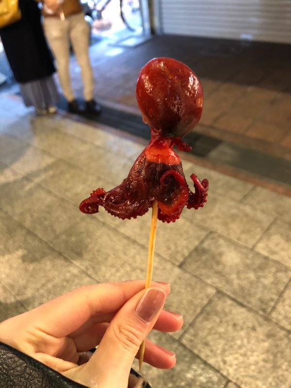 日本・京都府「京都 vol.2」の写真