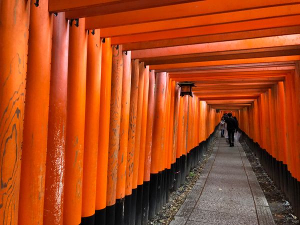 日本・京都府「京都 vol.2」の写真