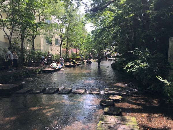 日本・静岡県「静岡 vol. 」の写真