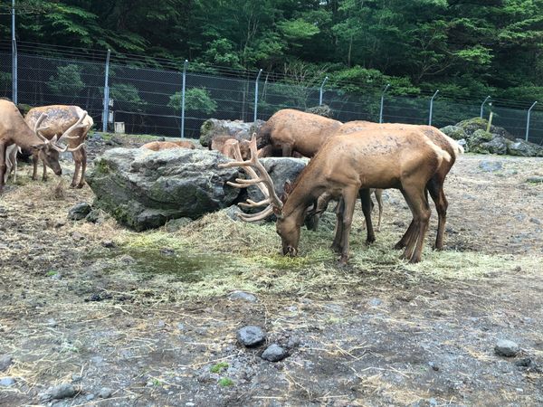日本・静岡県「静岡 vol. 」の写真