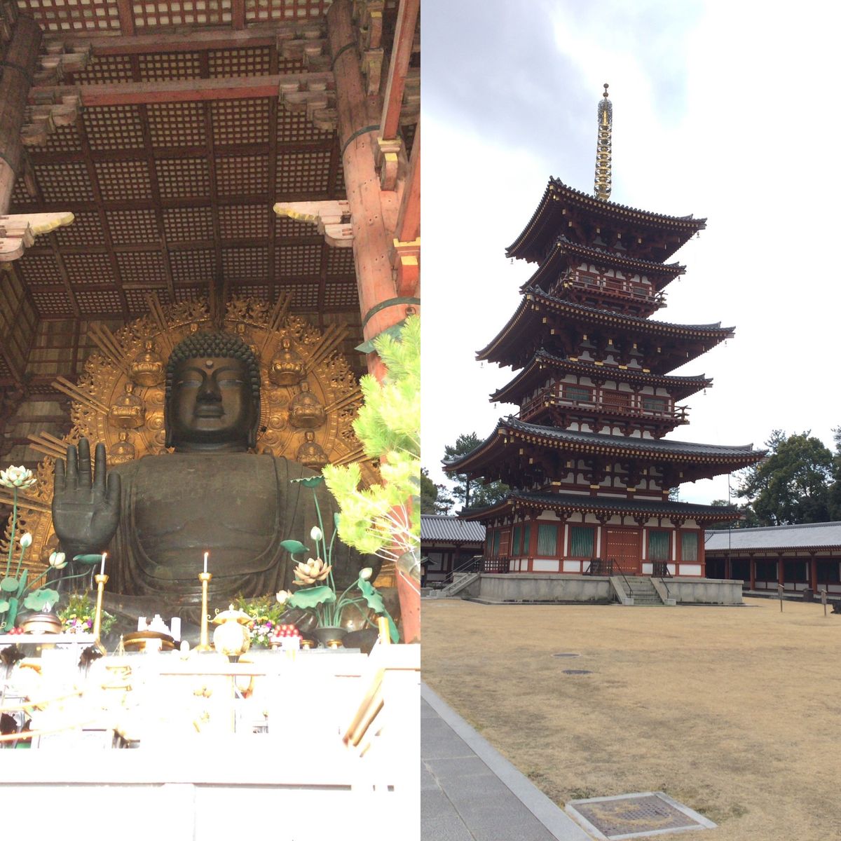 平城宮跡
唐招提寺
東大寺
薬師寺
興福寺
