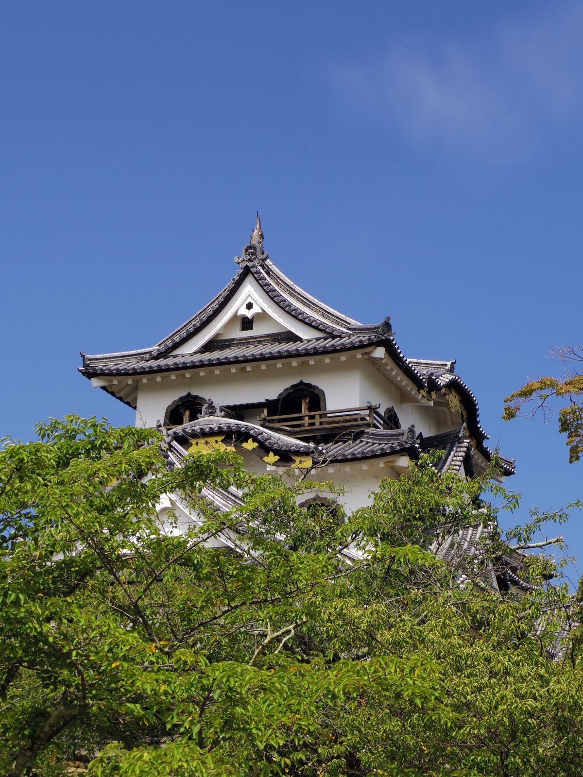 彦根城
長浜城
白髭神社