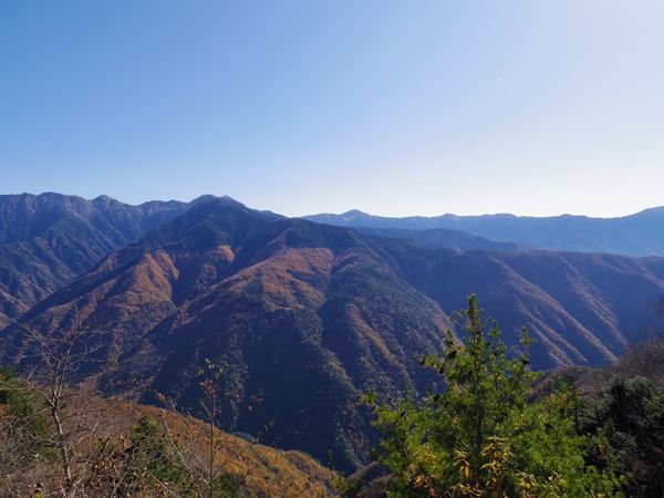 日本・長野県「一人旅 しらびそ高原」の写真：しらびそ高原
