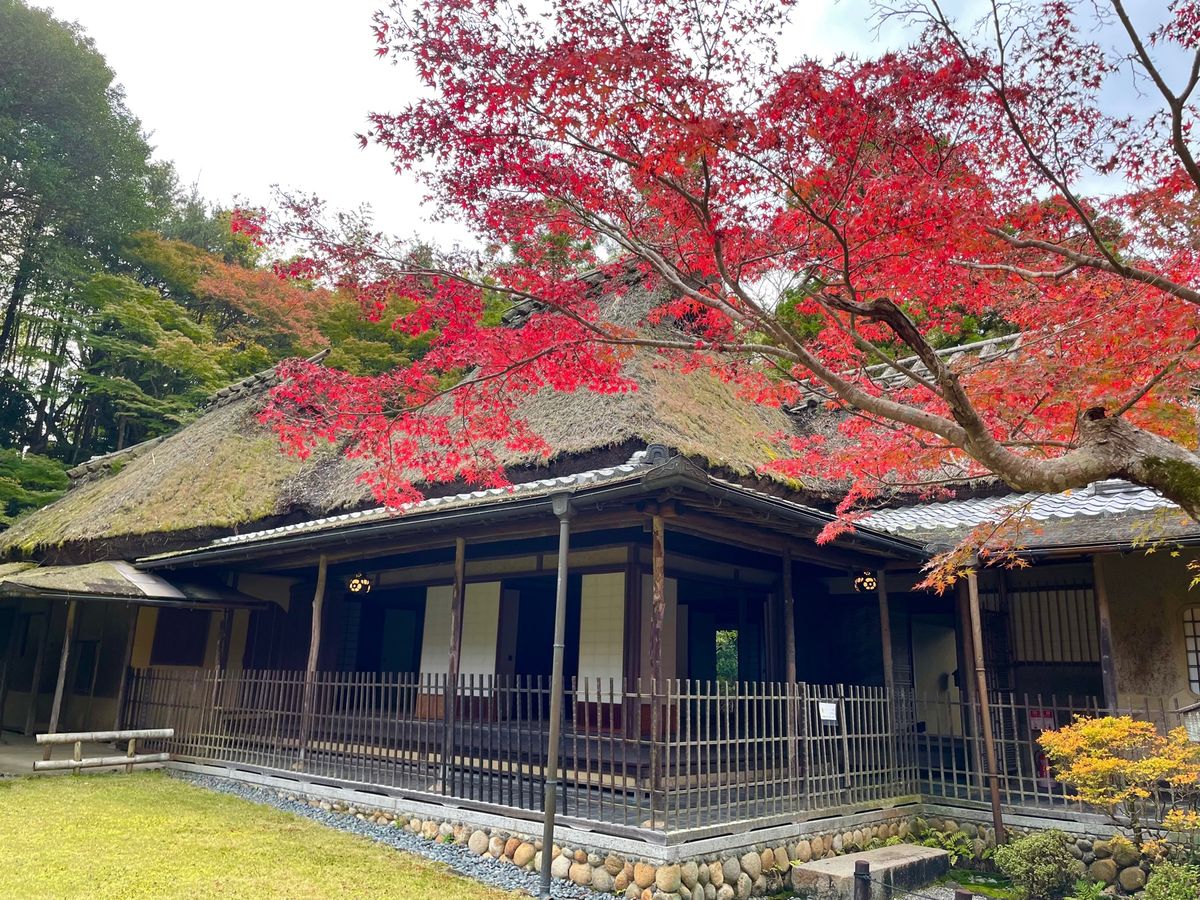 依水園のお隣にある吉城園。何と入園は無料でした。こちらも立派な庭園でした。