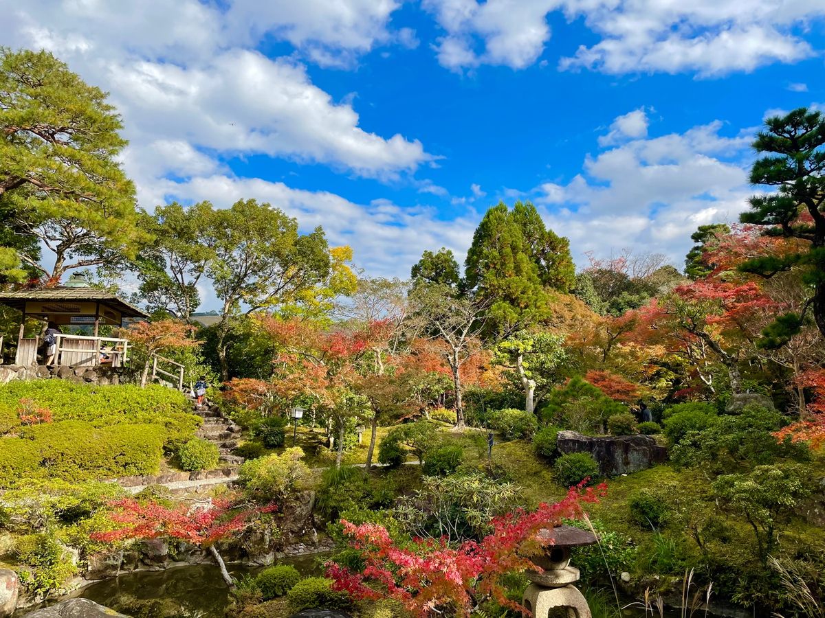 依水園のお隣にある吉城園。何と入園は無料でした。こちらも立派な庭園でした。