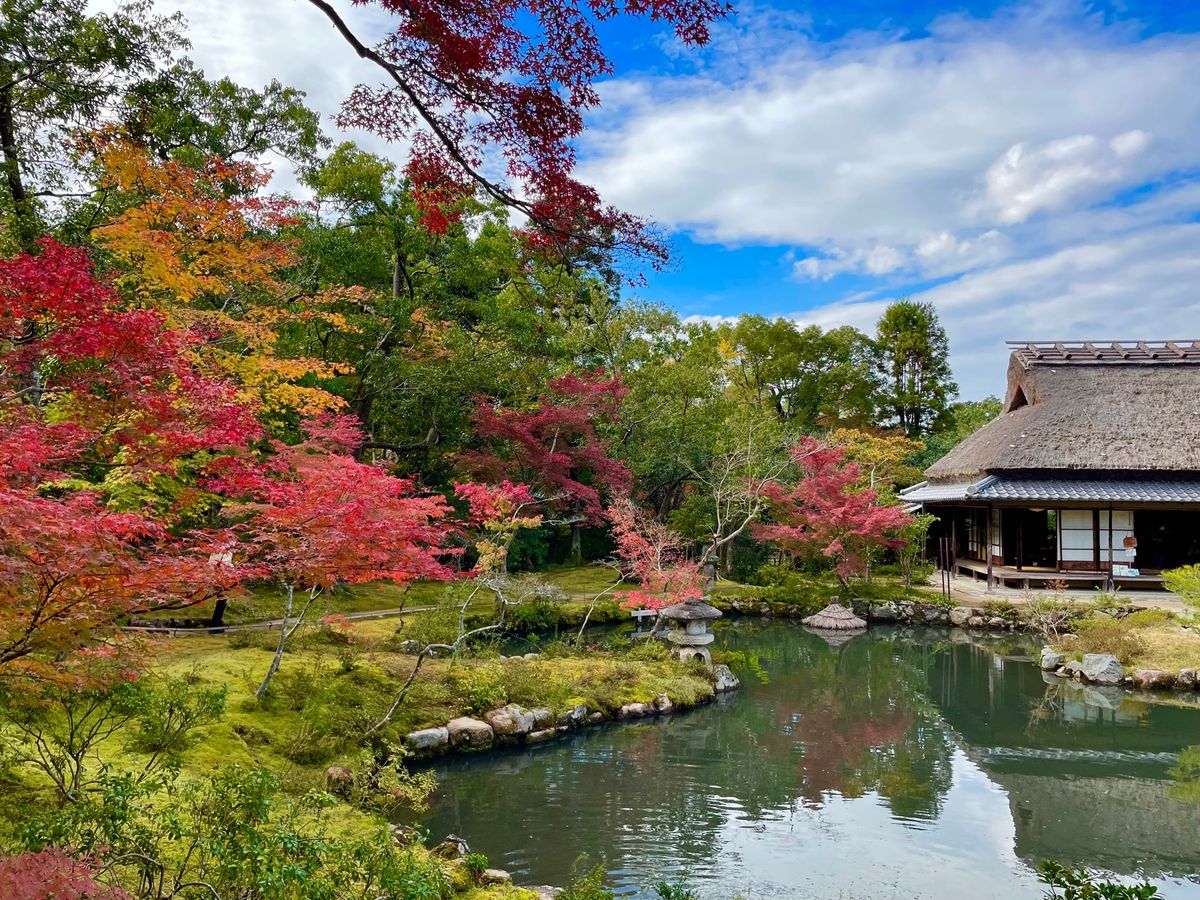 奈良の依水園。庭園の紅葉が見頃を迎えていました。