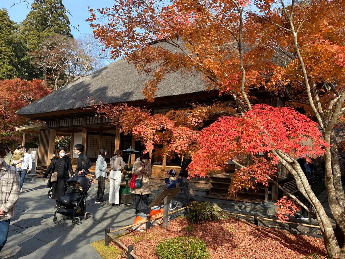 宮城県松島にて。
円通院、瑞巌寺五大堂　等