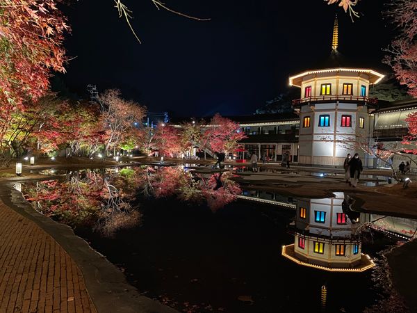 日本・宮城県「宮城・山形旅行」の写真：松島離宮のライトアップ