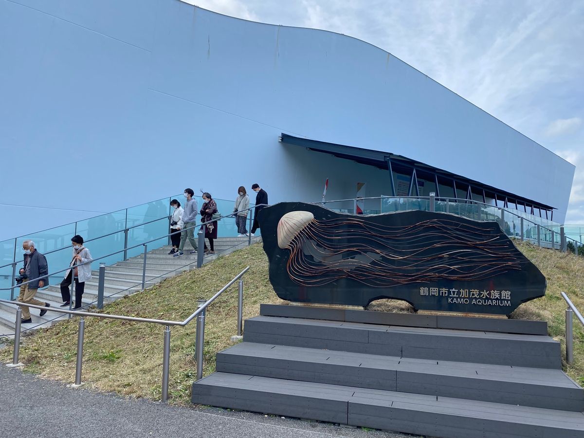 鶴岡市立加茂水族館へ