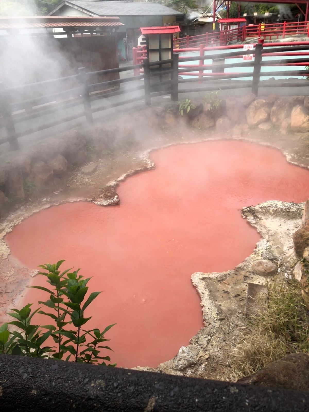 次の日もたっぷり温泉を満喫。
朝のお散歩で地獄風呂。