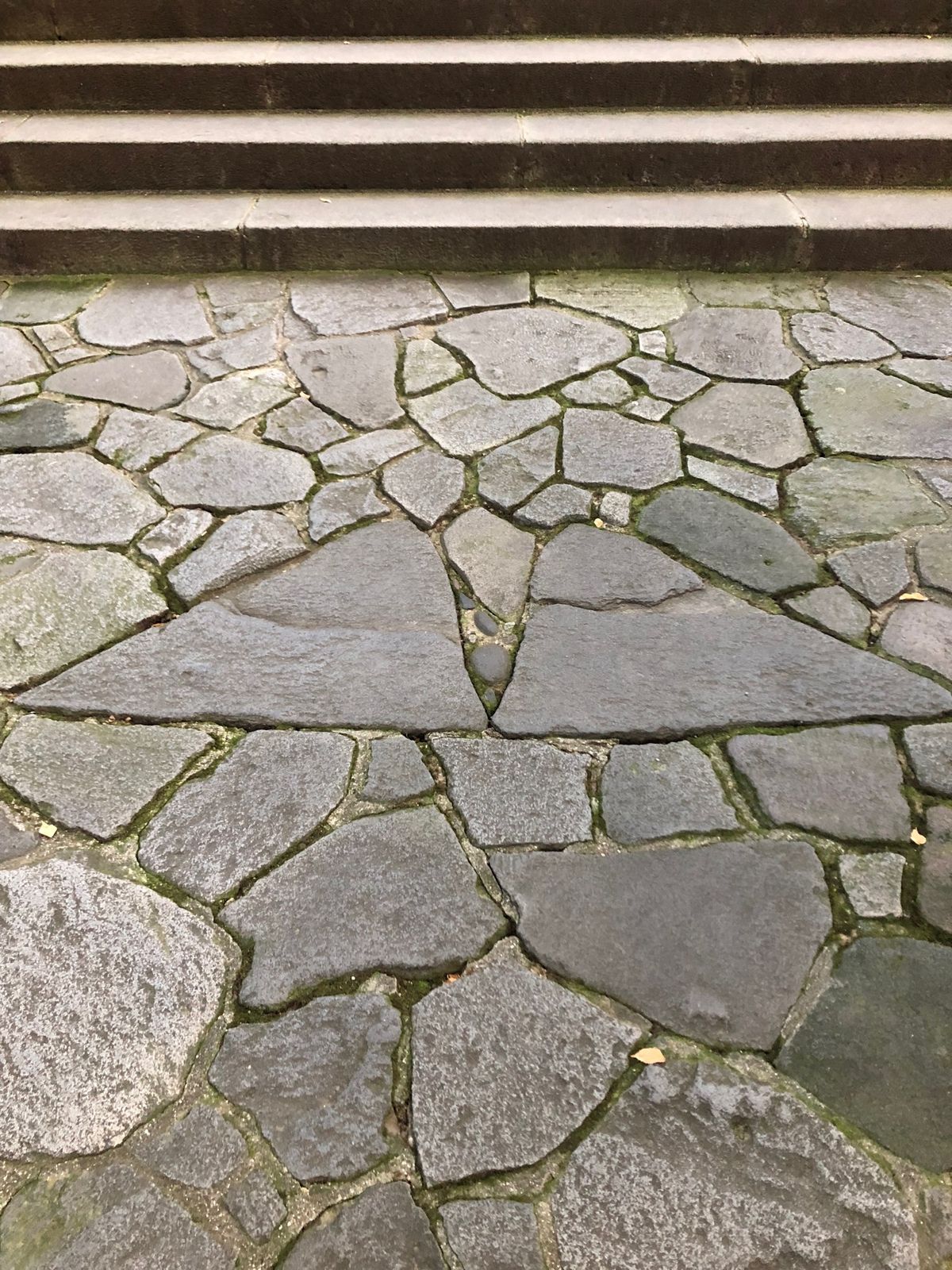 宇佐神宮行ってみたかった！
夫婦石、なるほど。