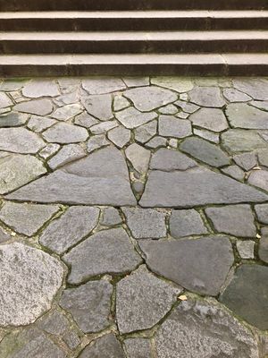 宇佐神宮行ってみたかった！
夫婦石、なるほど。