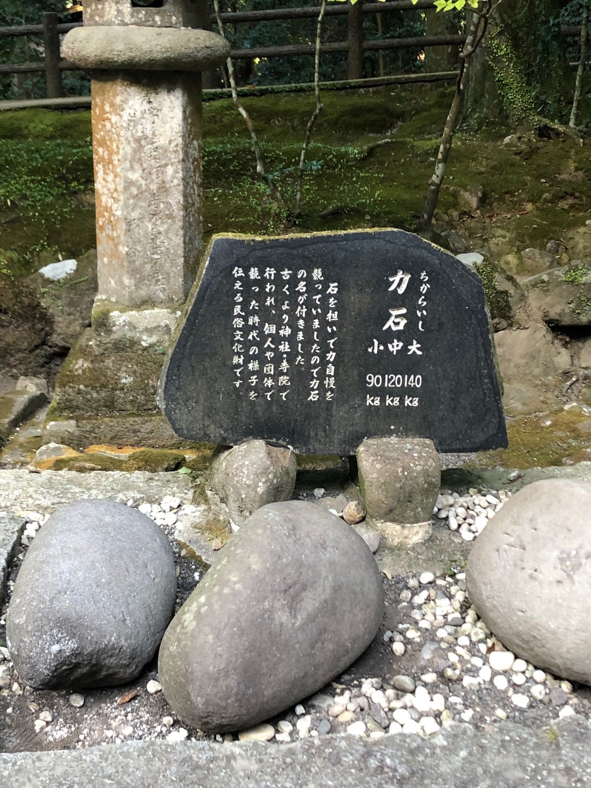 宇佐神宮行ってみたかった！
夫婦石、なるほど。