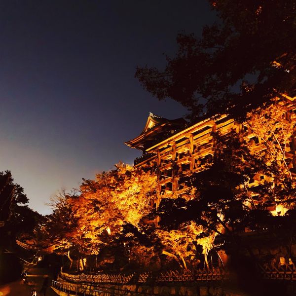 日本・京都府「秋の京都旅行」の写真