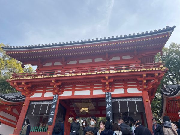 日本・京都府「奈良・京都の紅葉2021」の写真：今日は京都の紅葉。先ずは八坂神社と円山公園。