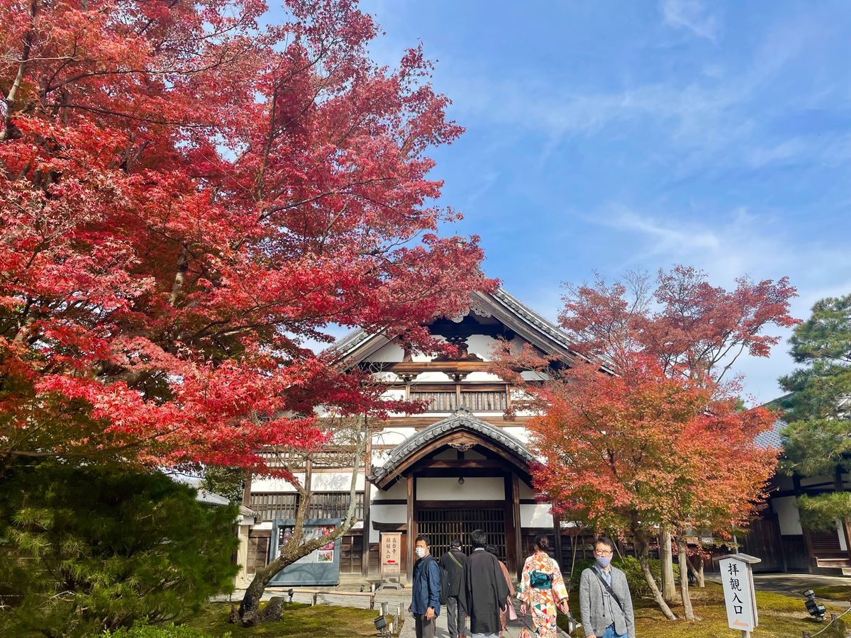 午前中は高台寺。豊臣秀吉の妻ねねの菩提寺です。庭園の紅葉は素晴らしいものでした。