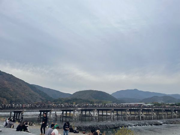 日本・京都府「奈良・京都の紅葉2021」の写真：午後は嵐山ヘ。コロナ騒動も収束の気配。休...