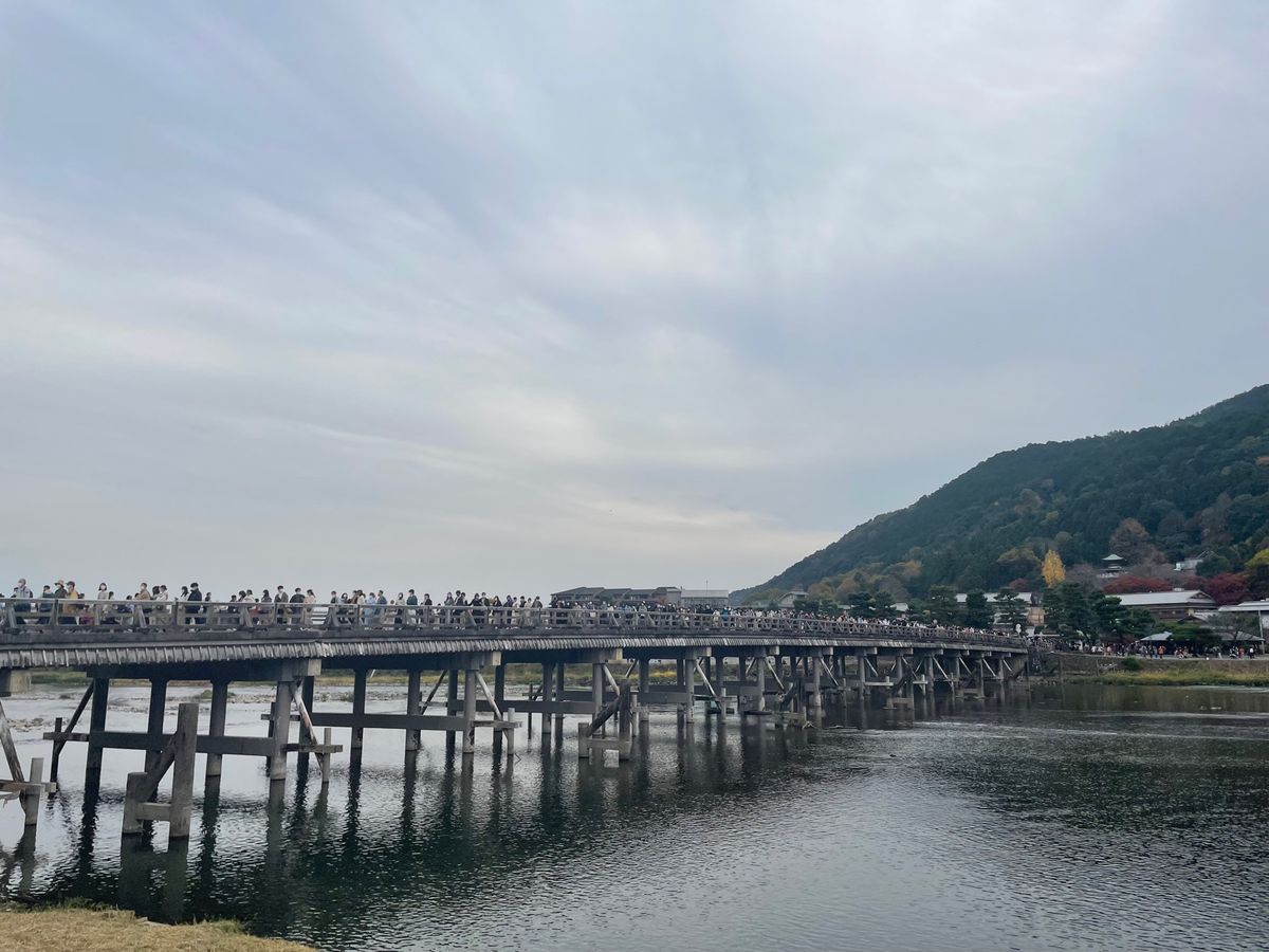 午後は嵐山ヘ。コロナ騒動も収束の気配。休日の紅葉シーズンの嵐山の混雑を舐め...