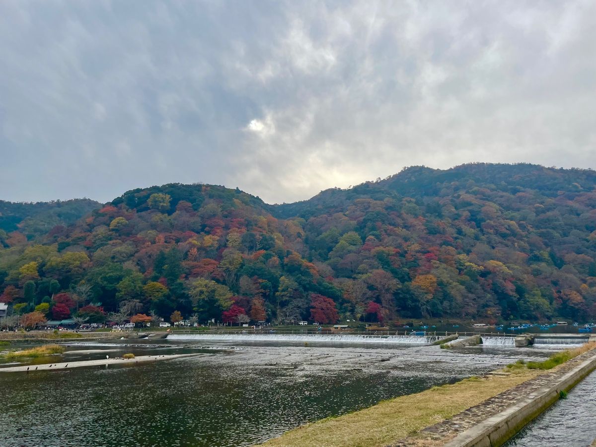 午後は嵐山ヘ。コロナ騒動も収束の気配。休日の紅葉シーズンの嵐山の混雑を舐め...