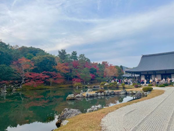 日本・京都府「奈良・京都の紅葉2021」の写真：最後は天龍寺。世界遺産にも指定されている...