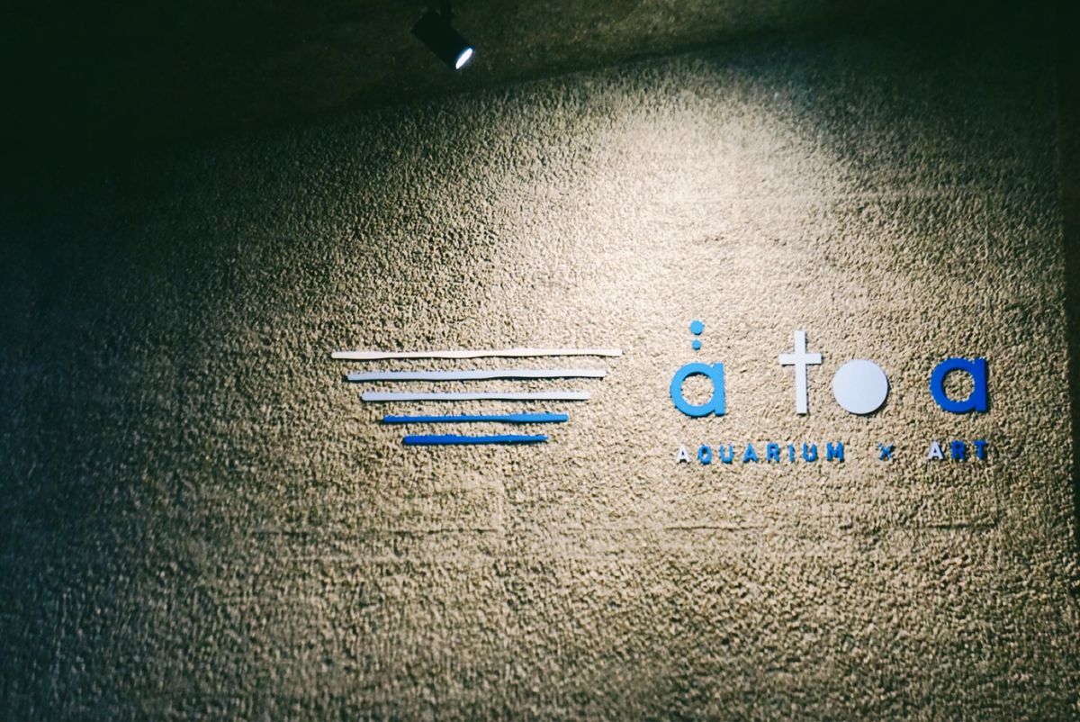 【アトア（átoa）】
2021年10月下旬オープンの水族館