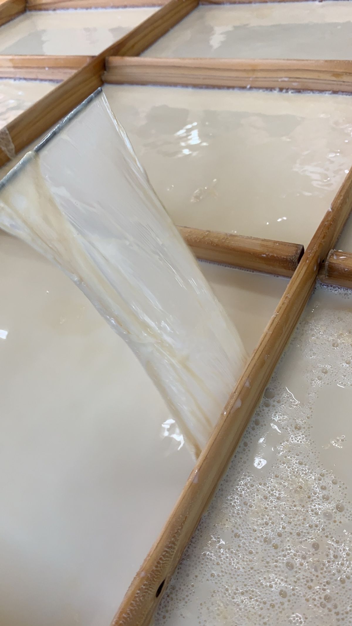 最後は湯葉食べ放題！出来たて美味しかった❤