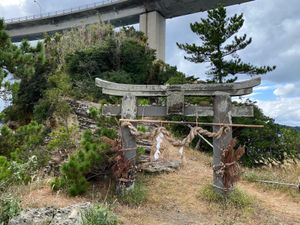 弁天島の呼子岩脈群

遊歩道を進むと
呼子大橋の下に弁天神社が⛩

晴れて...