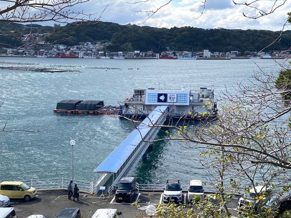 日本・佐賀県「呼子でイカ難民🦑」の写真：大行列過ぎて入ることができなかった萬坊
...