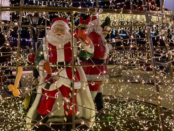 日本・佐賀県「呼子でイカ難民🦑」の写真：呼子じゃないけど
福岡の中洲あたりのイル...