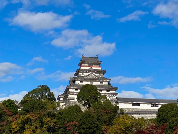 日本・佐賀県「呼子でイカ難民🦑」の写真：唐津城

時間が無かったので
周辺だけ撮影