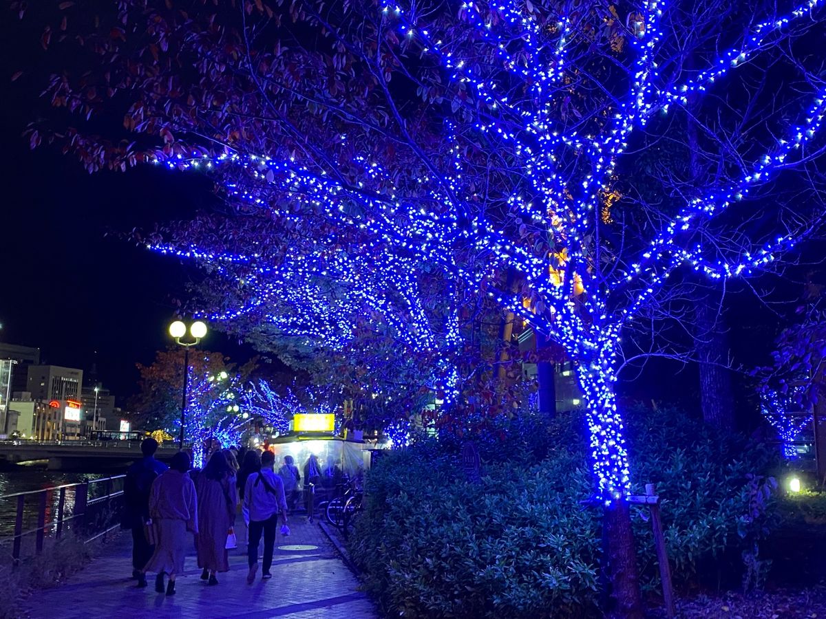呼子じゃないけど
福岡の中洲あたりのイルミネーション

普段この辺りはあま...