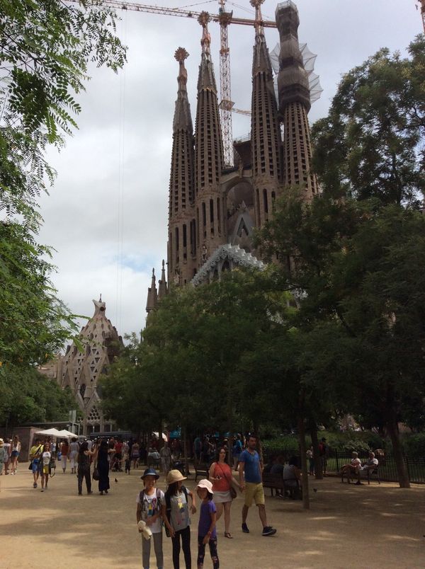 スペイン・バルセロナ「バルセロナ」の写真：ガウディ　サグラダファミリア