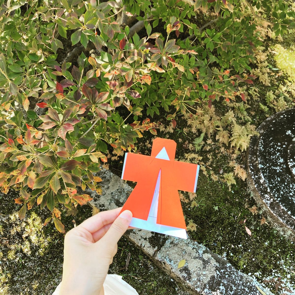 あぶり餅、おいしかったー。
良いご縁、お金との笑。お願いします🤲
花の木の...