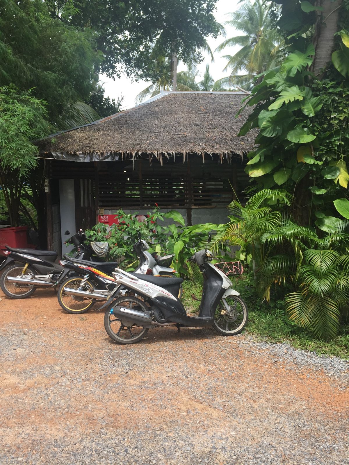 プーケットの旅

一枚目は、マリオットから車で5分ぐらいの所にあるタイ料理...