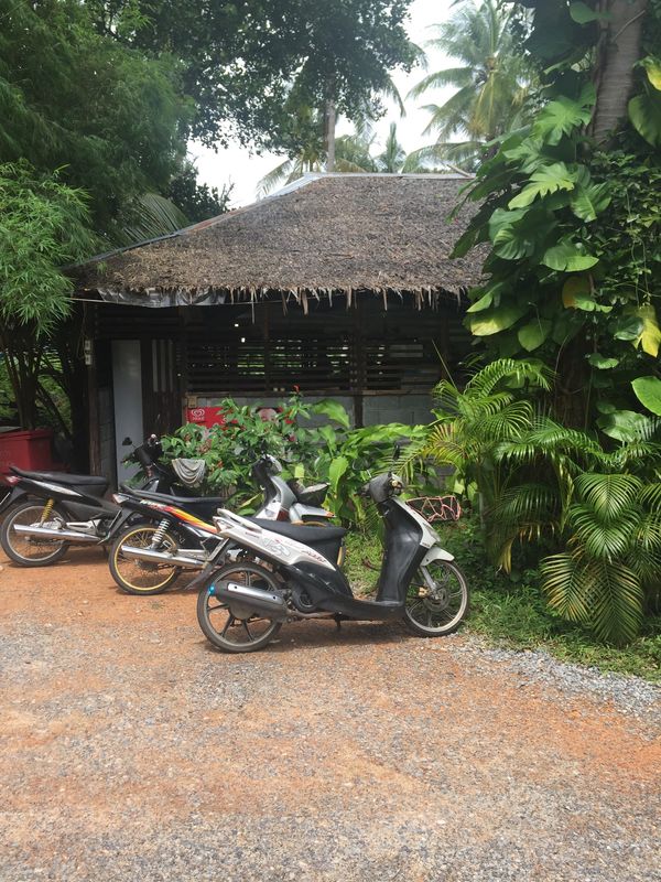 「プーケット」の写真：プーケットの旅

一枚目は、マリオットか...