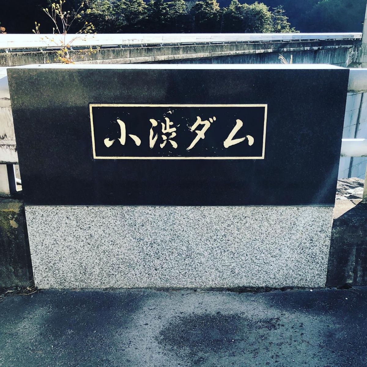 飯田線、伊那大島駅から車で20分くらいで到着。
小渋ダムは、アーチ型コンク...