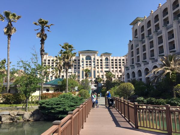 大韓民国 (韓国)・済州「韓国：仕事」の写真