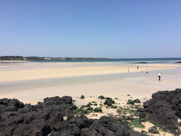 大韓民国 (韓国)・済州「韓国：仕事」の写真