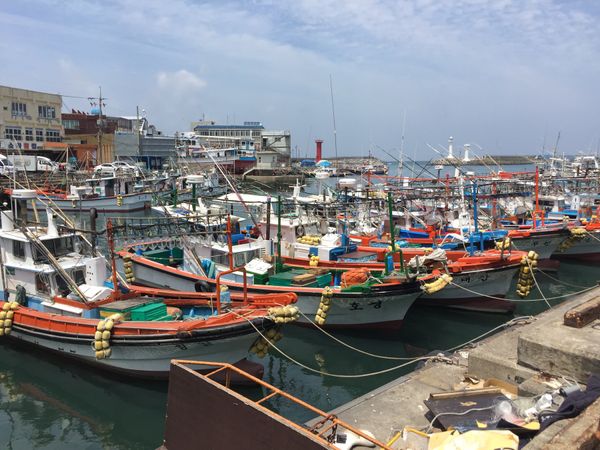 大韓民国 (韓国)・済州「韓国：仕事」の写真