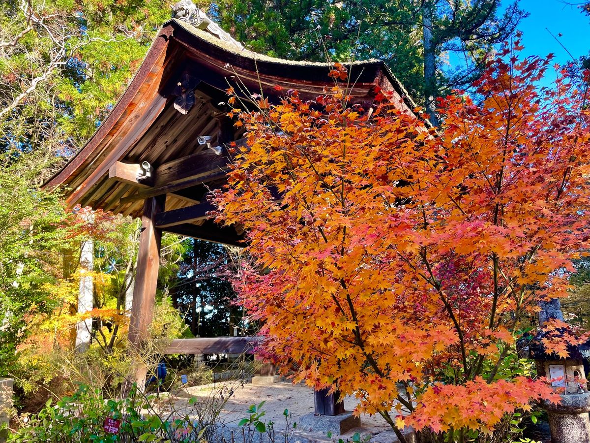 湖南三山の一つ長寿寺の紅葉
